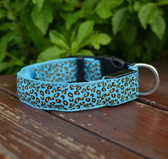 Luminous Dog Collar - Capustor