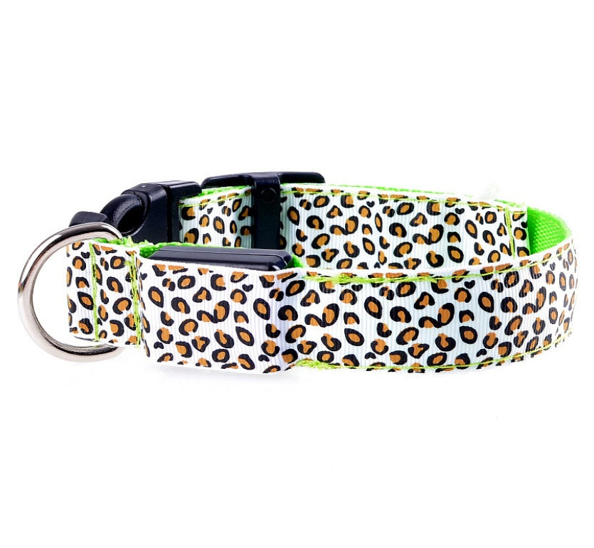 Luminous Dog Collar - Capustor