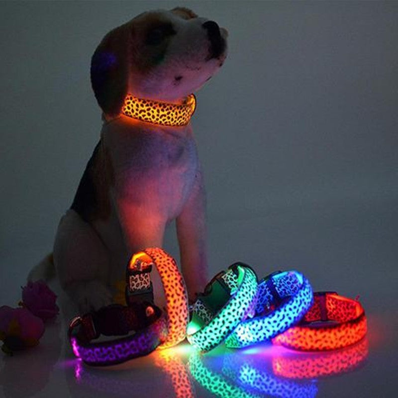 Luminous Dog Collar - Capustor