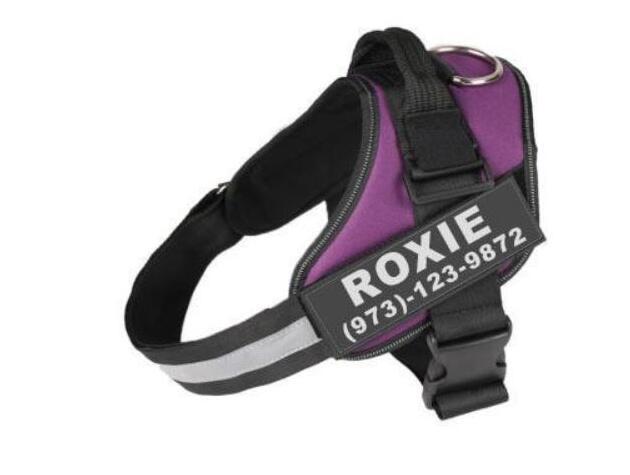 Personalized Harness with Your Pet's Name - Capustor