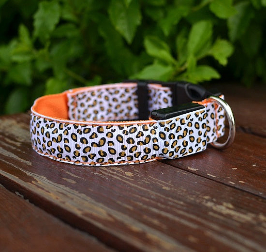 Luminous Dog Collar - Capustor